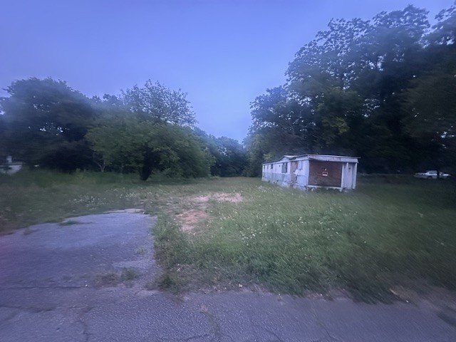 Picture 4
