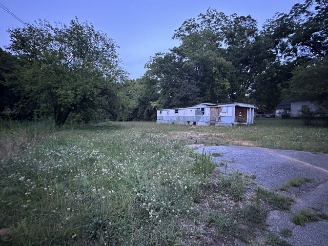 Picture 2