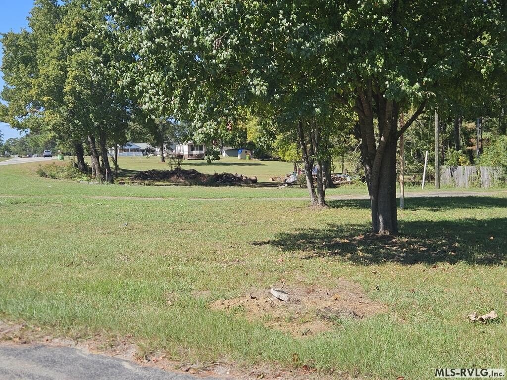 Picture 3