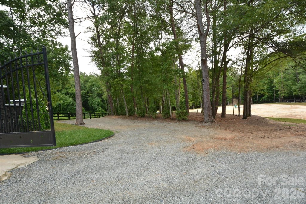 Picture 12