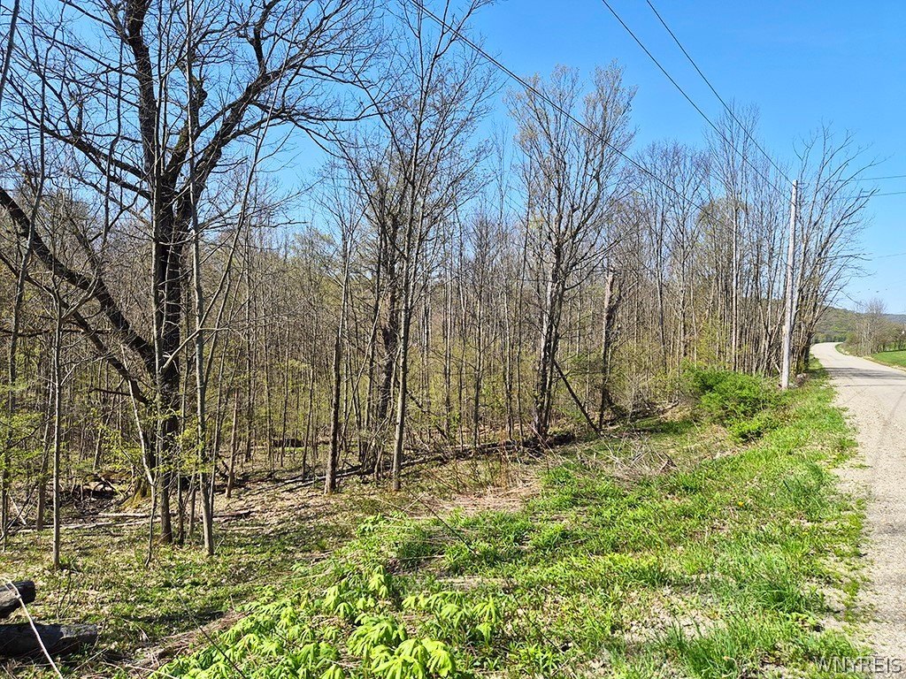 Wooded Land Near Ellicottville
