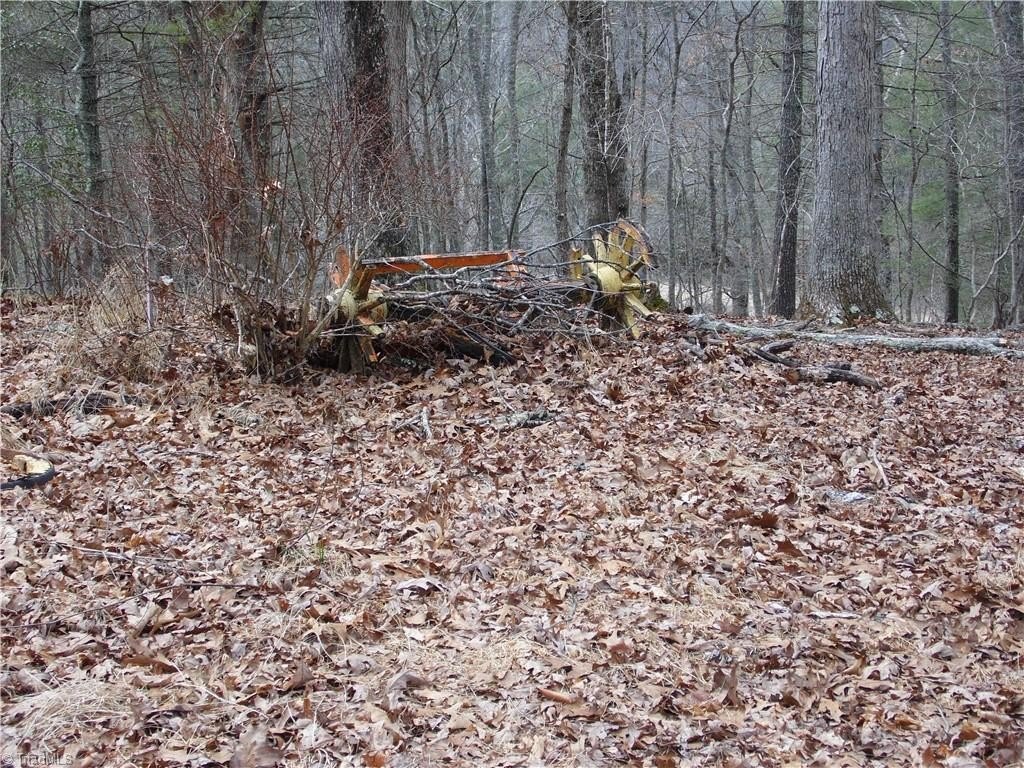 Picture 3