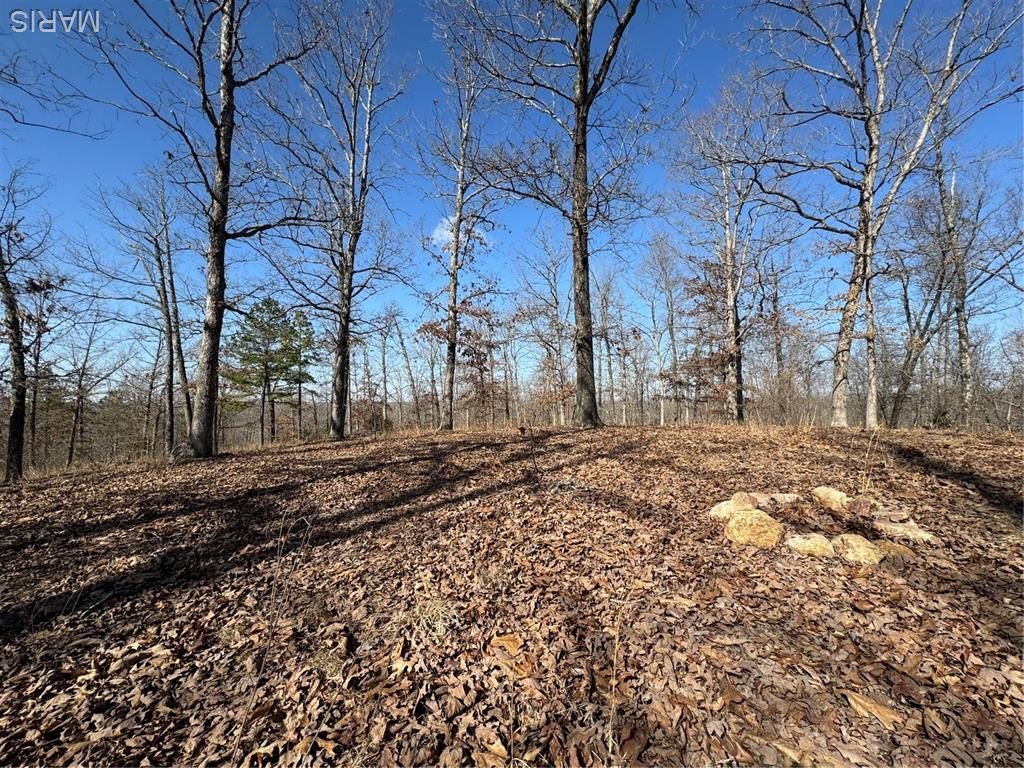 Picture 10