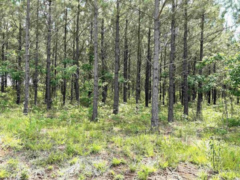 Residential Land in Sheridan, AR