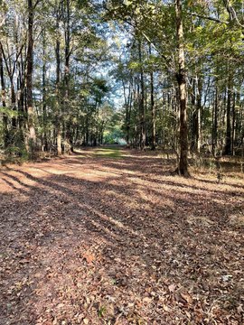 Residential Land in Clinton, MS