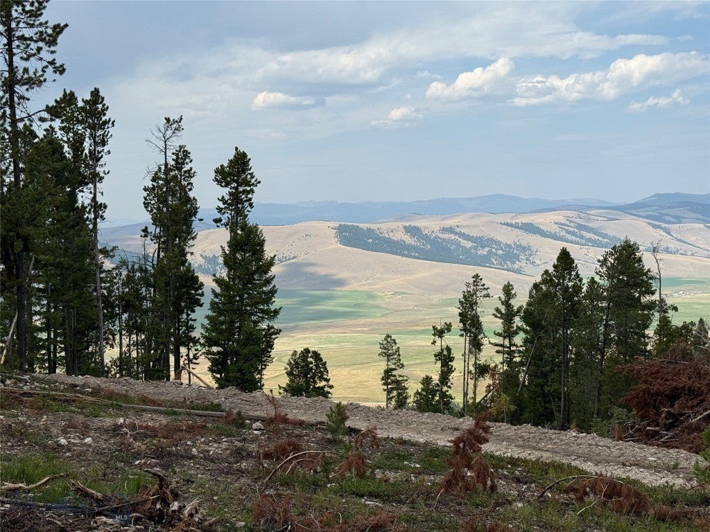 Picture 40