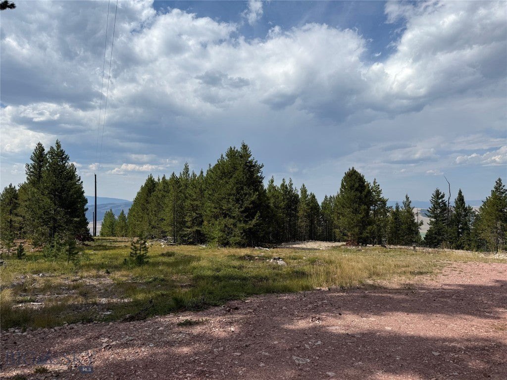 Picture 29