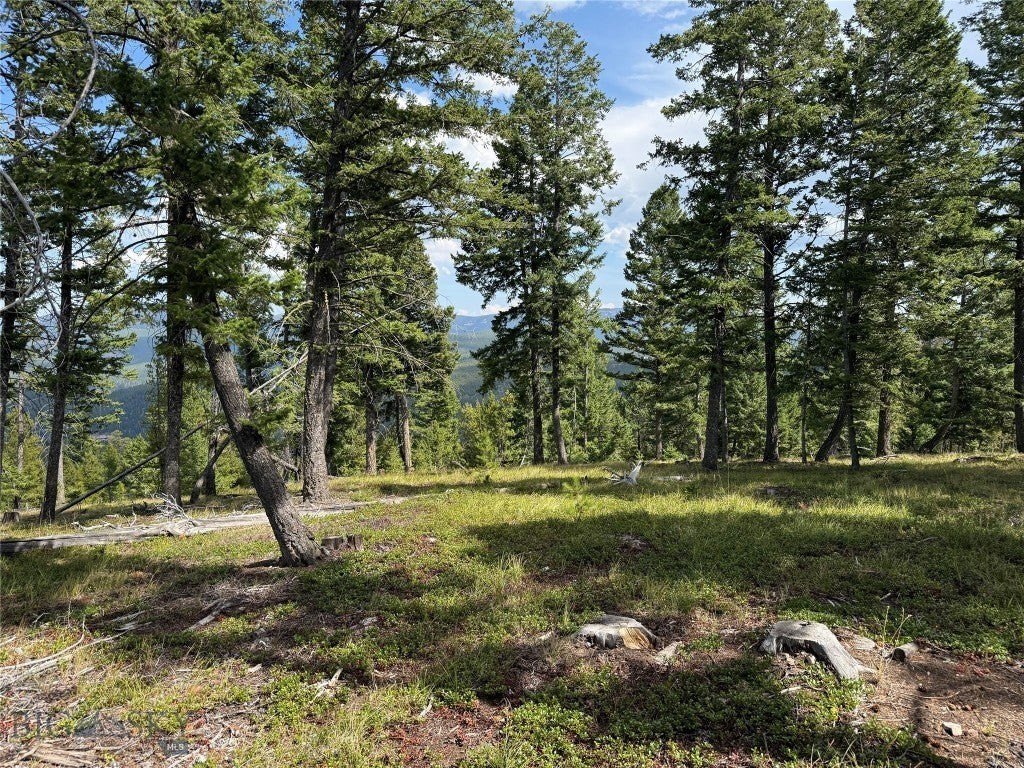 Picture 31
