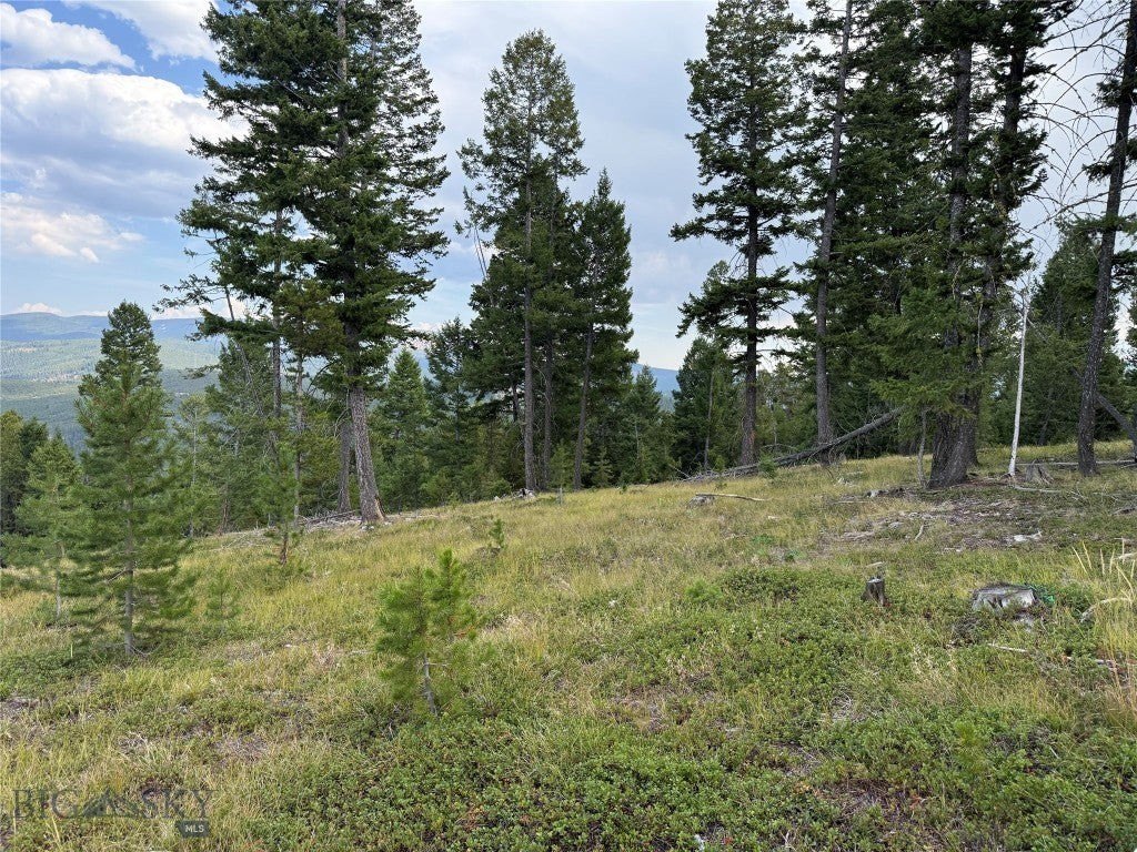 Picture 36