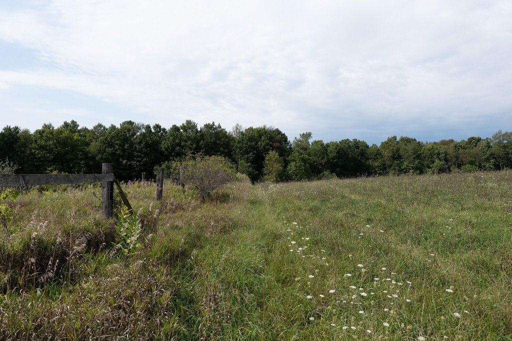 Picture 39
