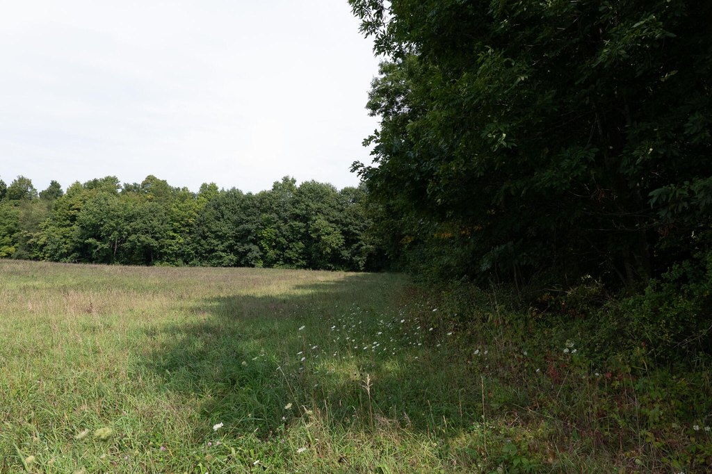 Picture 37
