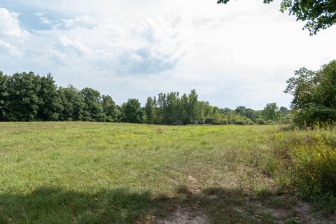 Land, Hillsdale, MI