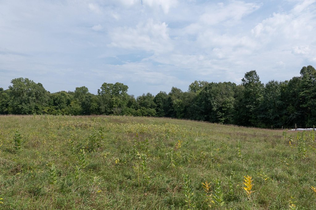 Picture 30