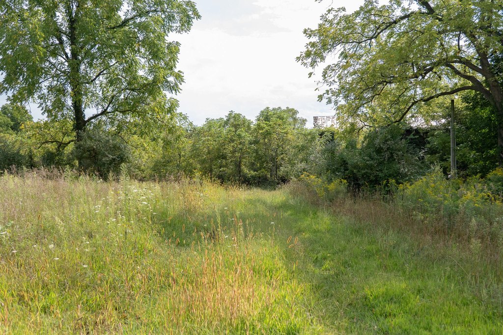 Picture 7