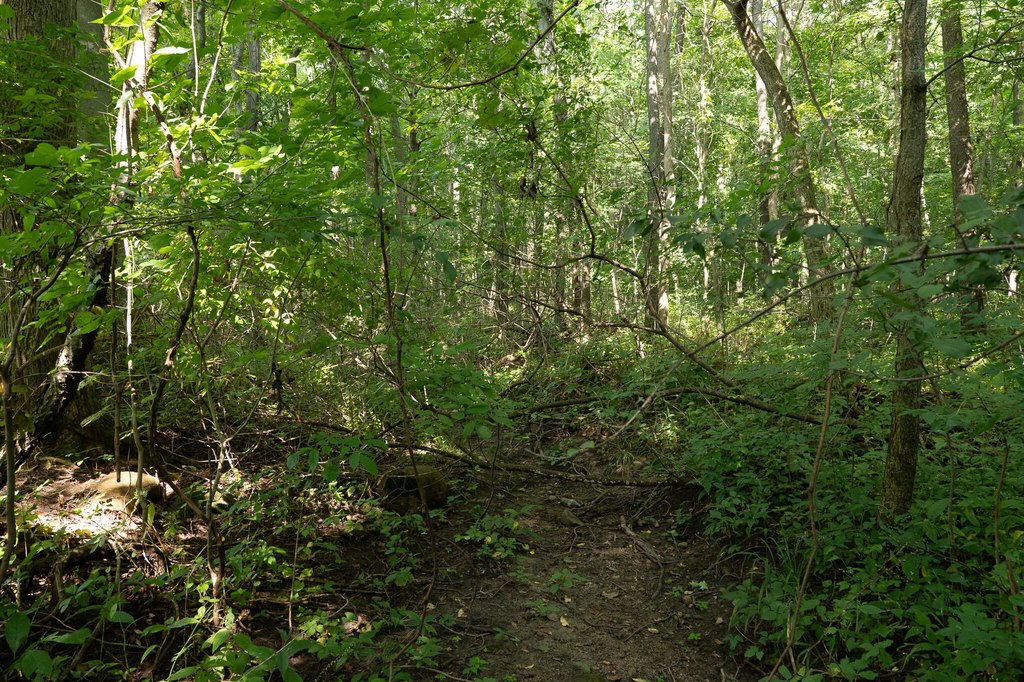 Picture 35