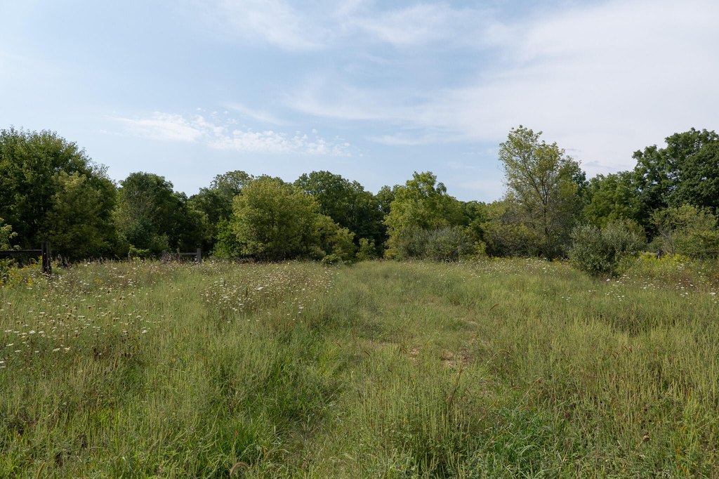 Picture 28