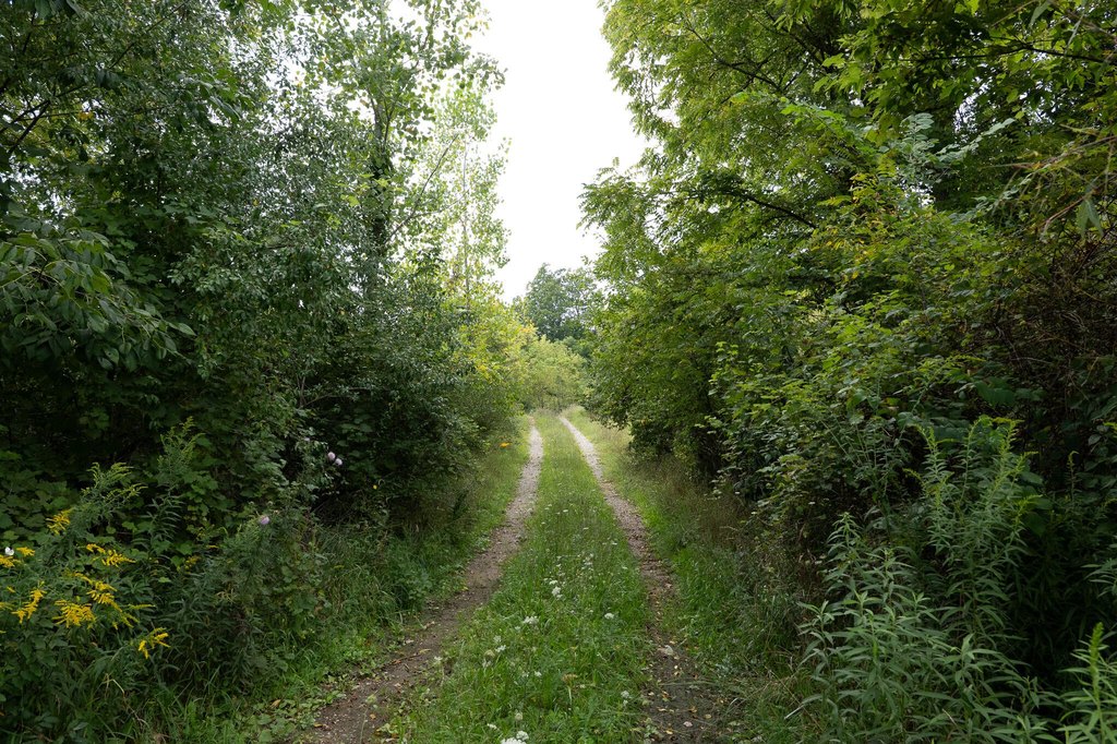 Picture 41