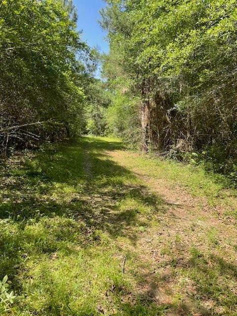 Tylertown, MS Land Parcel