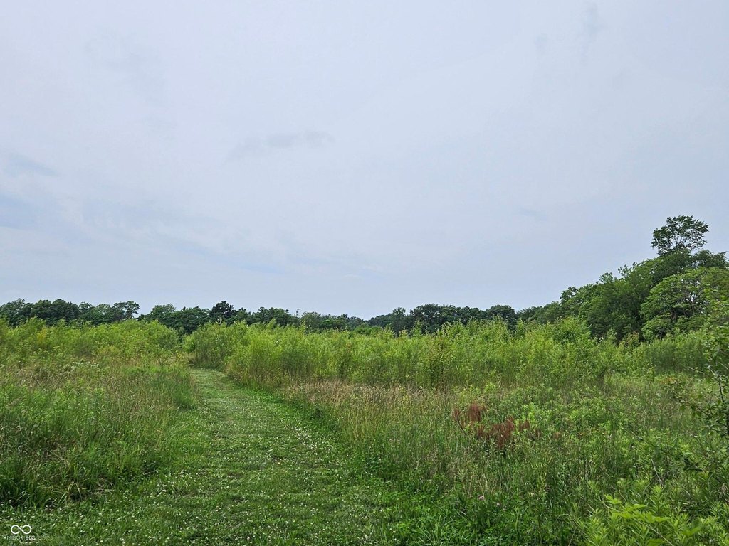 Picture 3