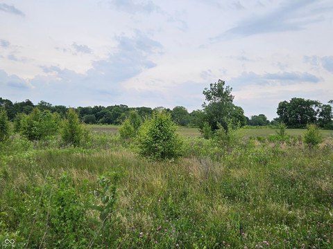 LAND - Greenfield, IN