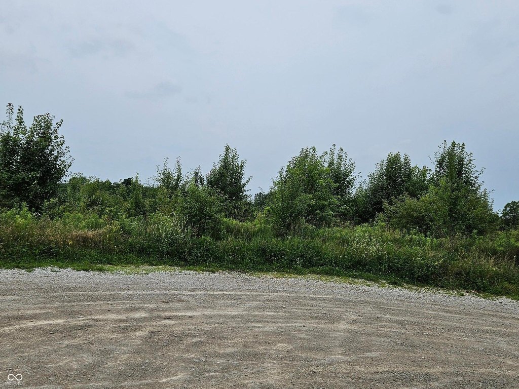 Picture 2