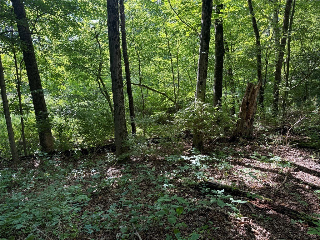 Picture 8