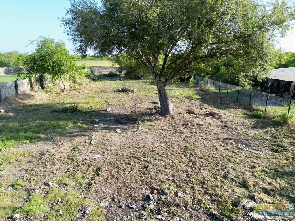 Picture 2