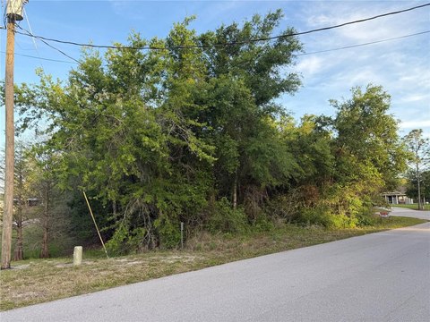 LAND - LAKE WALES, FL