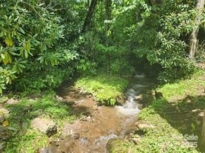 Ready-to-Build Land in Hemlock Falls