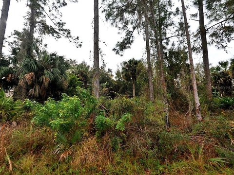 NORTH PORT, FL