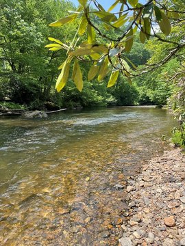 LAND - Hayesville, NC
