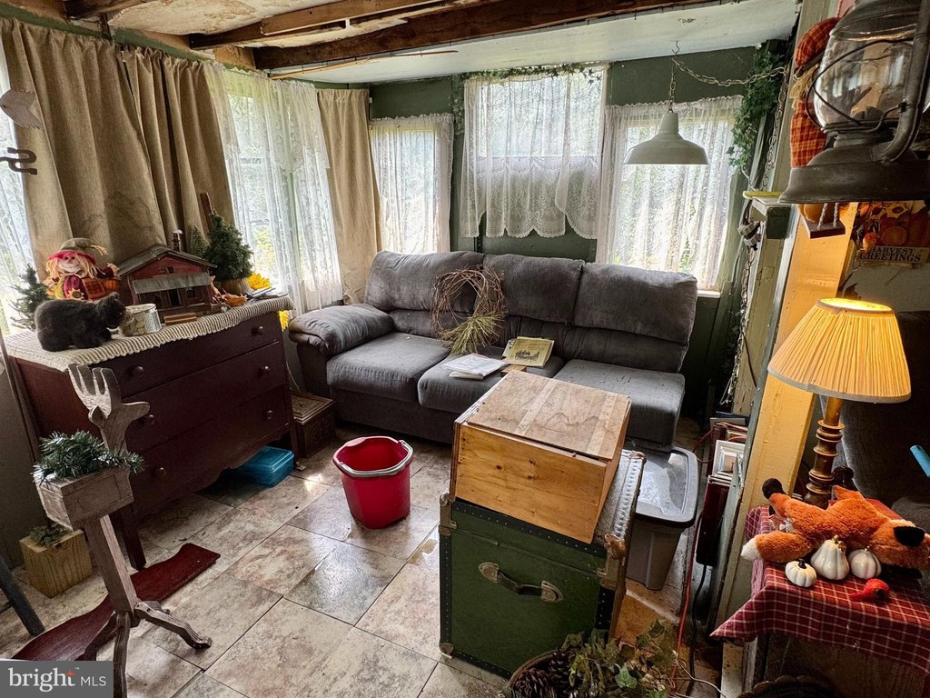 Picture 30