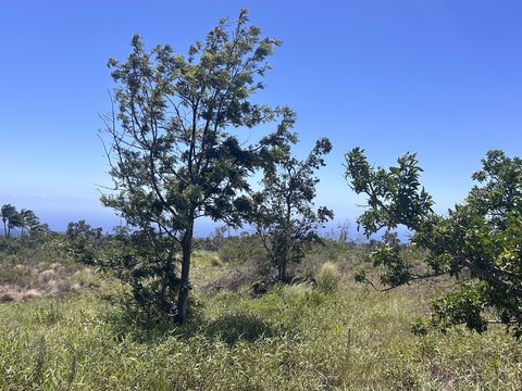 Land, Ocean View, HI