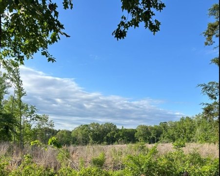 Hunting and Recreation Land