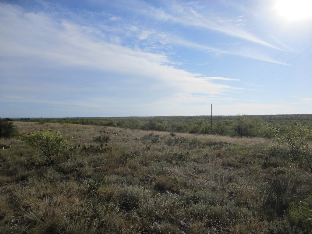 Picture 23