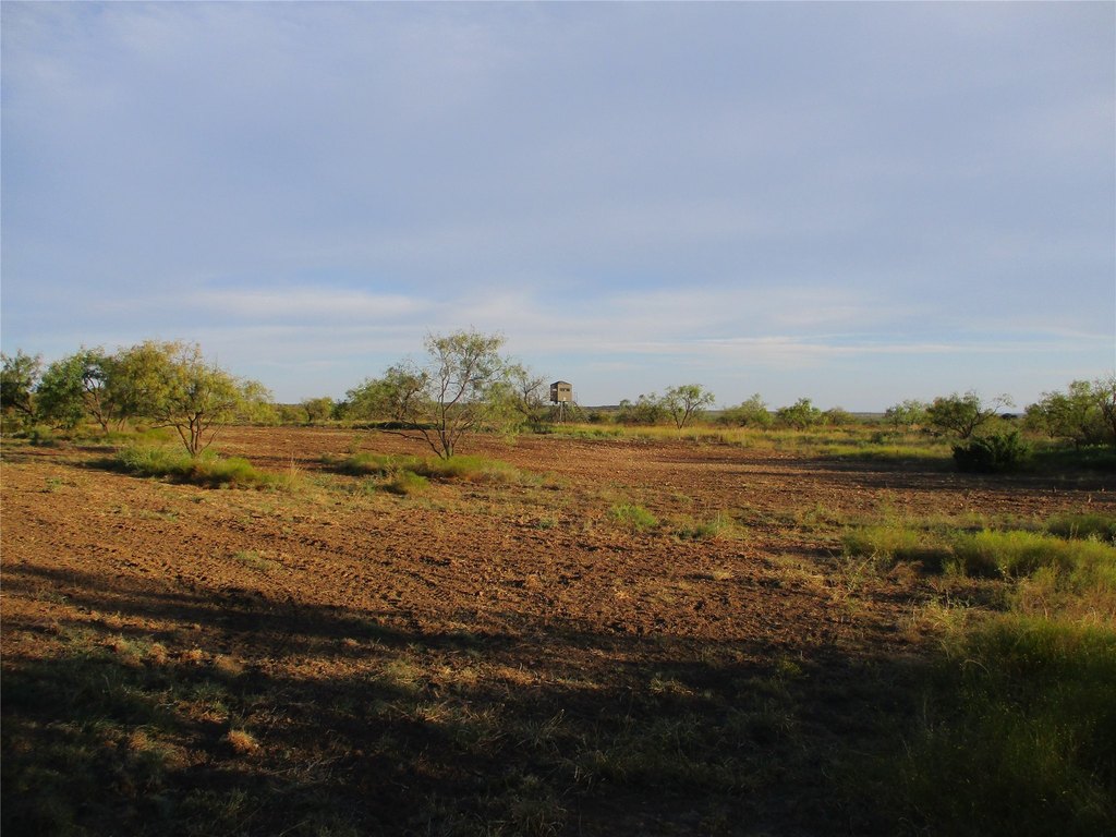 Picture 13