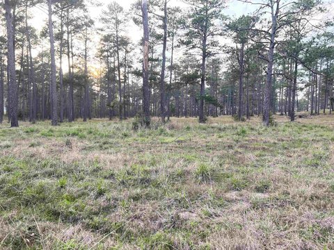Residential Lot Near Sam Rayburn