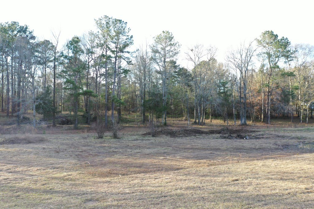 Picture 11