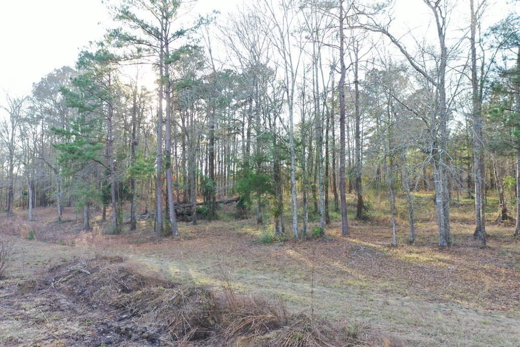 Picture 14