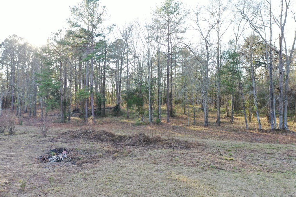 Picture 12