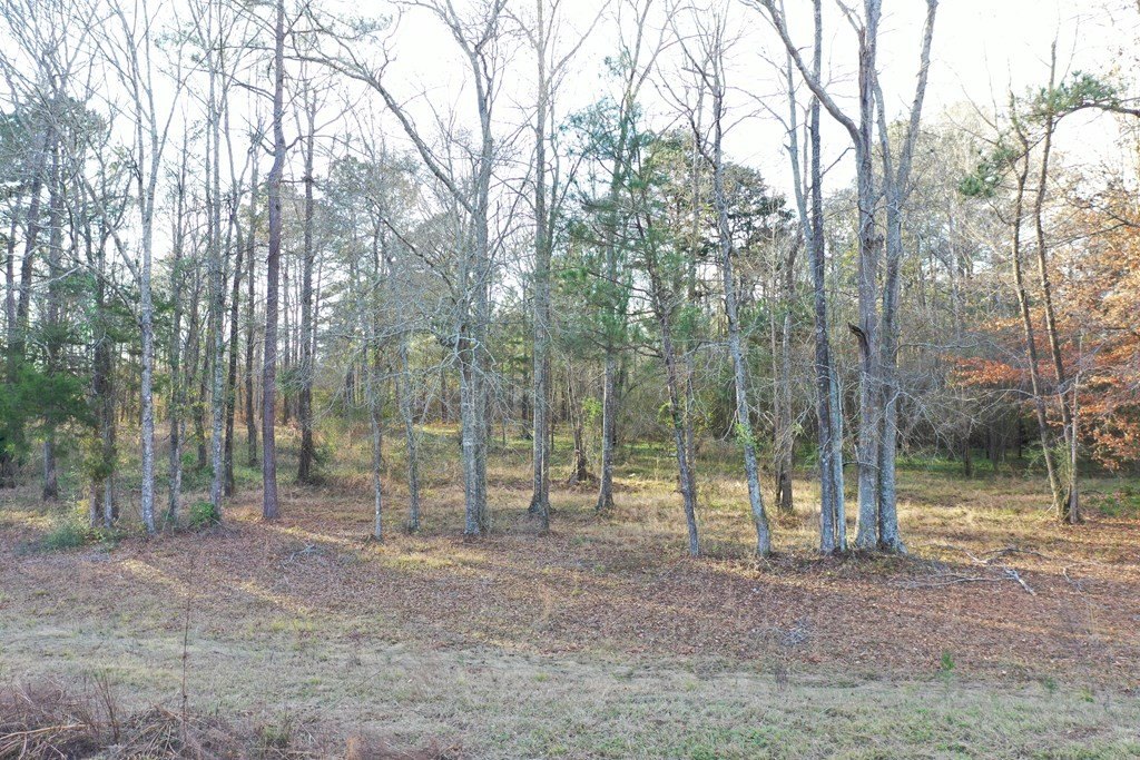 Picture 13