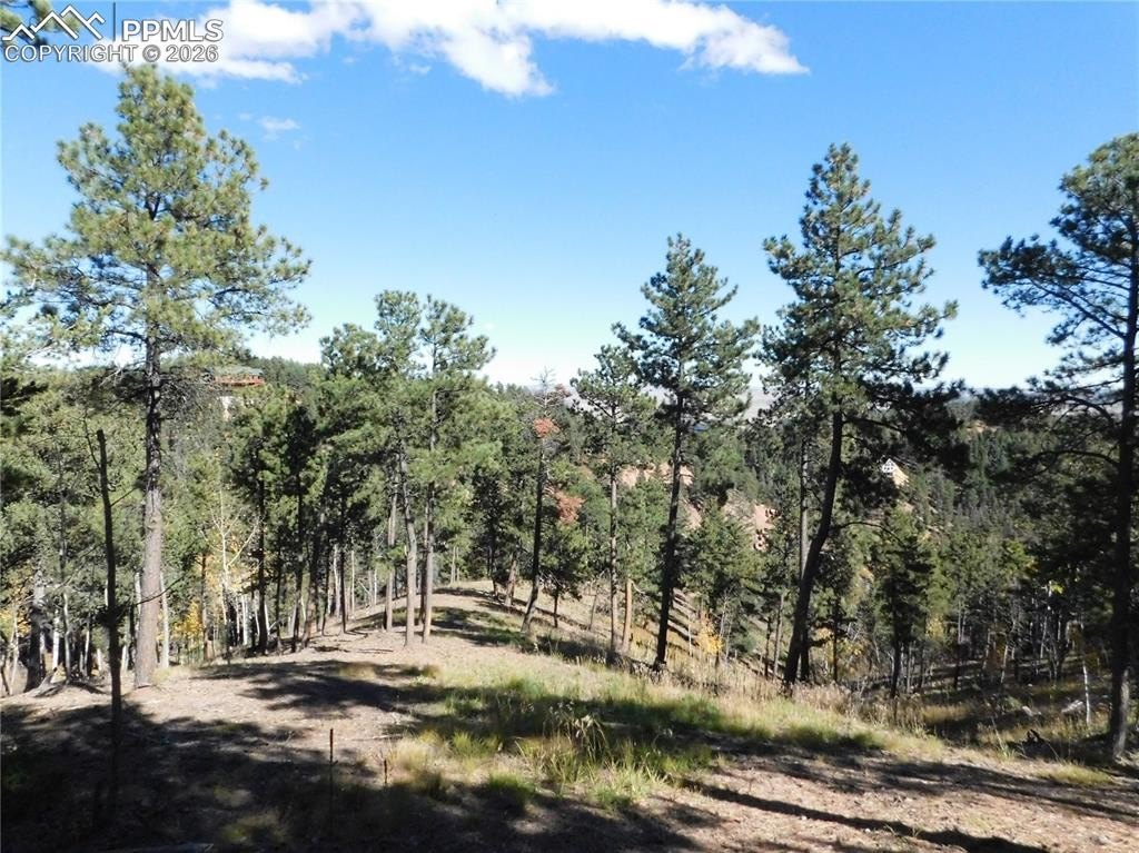 Larkspur Land Ready-to-Build Lot