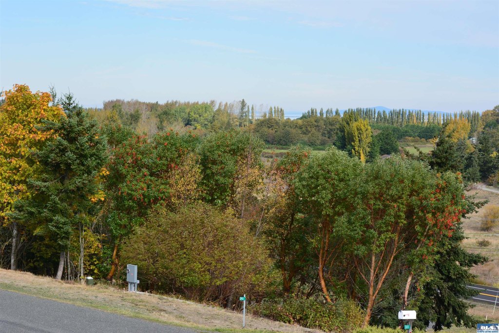 Picture 16