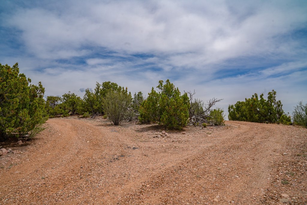 Picture 25