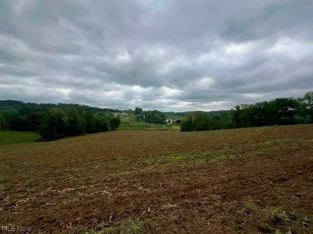 Picture 6