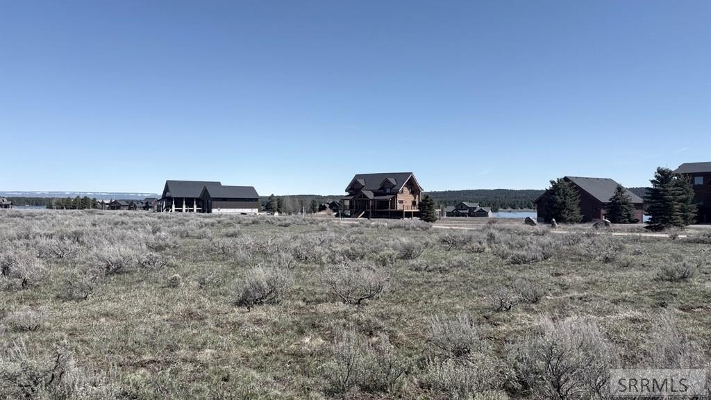 Picture 2