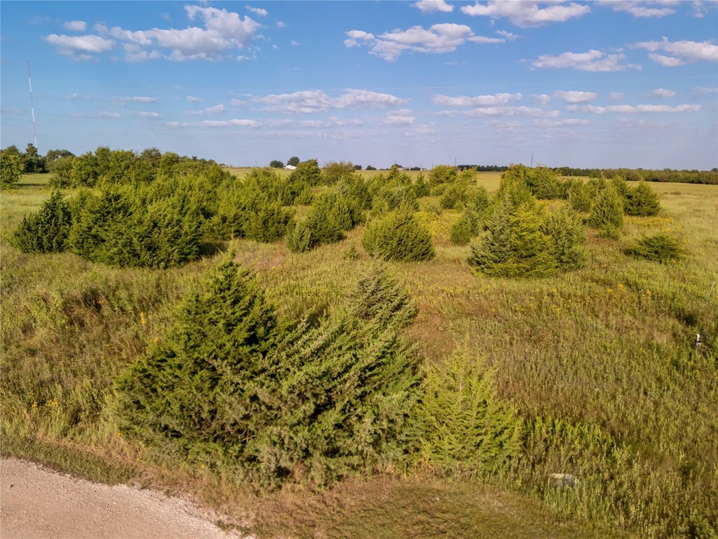 Picture 20