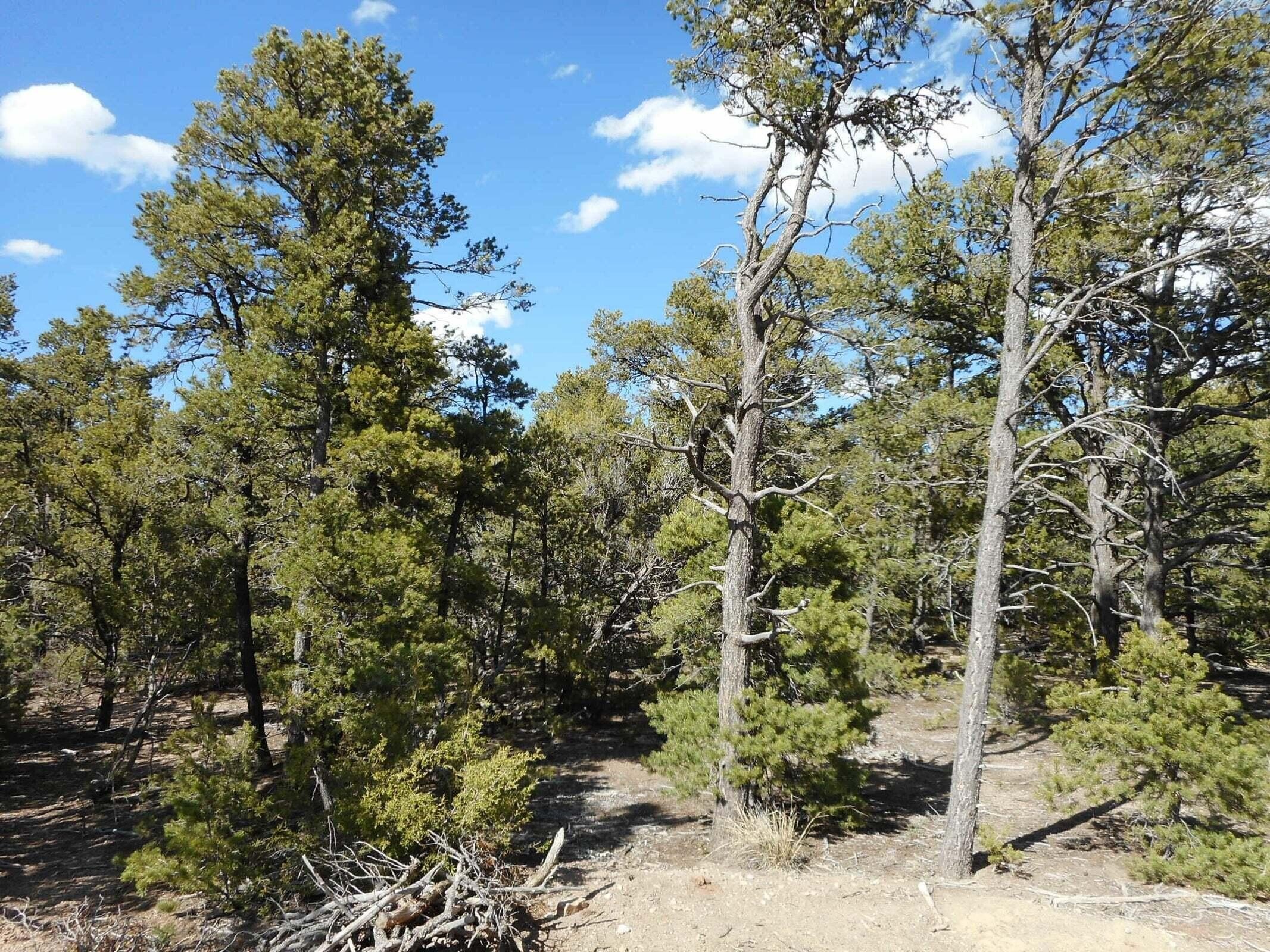 Rancho Verde Lot with Views