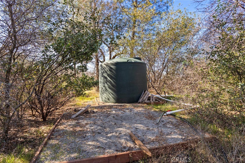 Picture 15