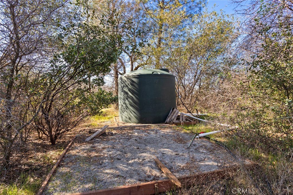 Picture 15